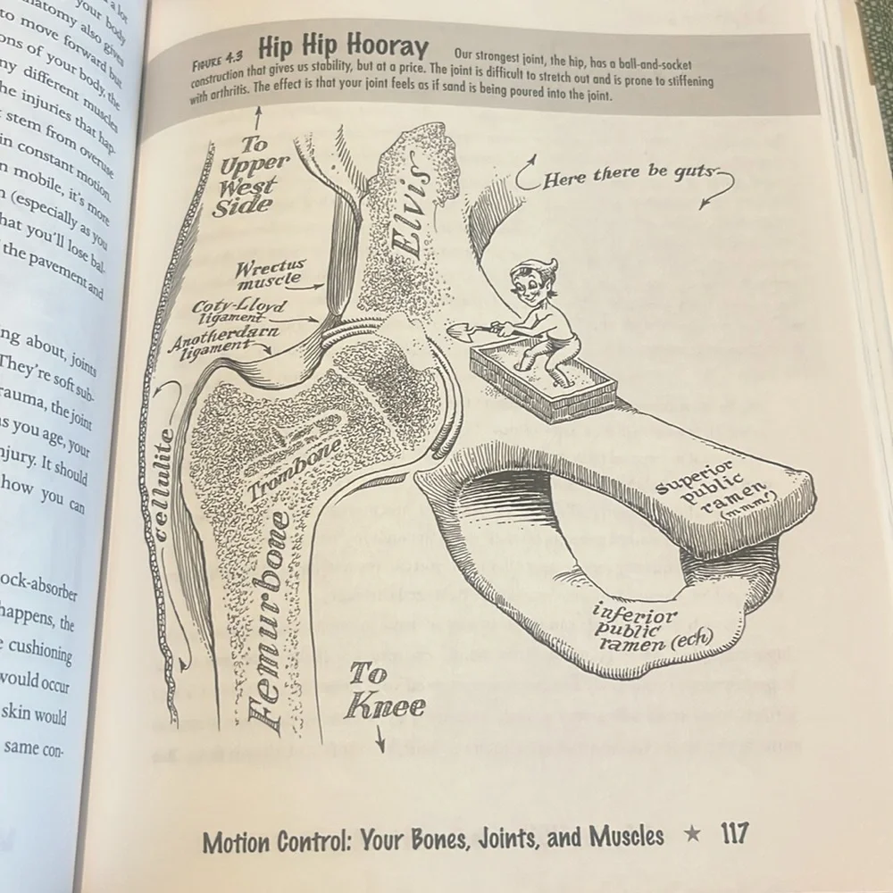 You: The Owner's Manual Book